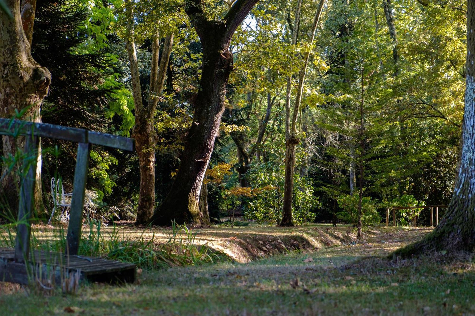 Parc De L'Aiguade Bed & Breakfast Saint-Paul-lès-Dax Екстериор снимка