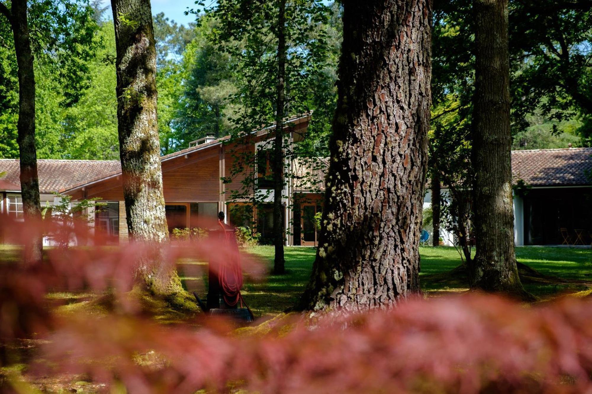 Parc De L'Aiguade Bed & Breakfast Saint-Paul-lès-Dax Екстериор снимка