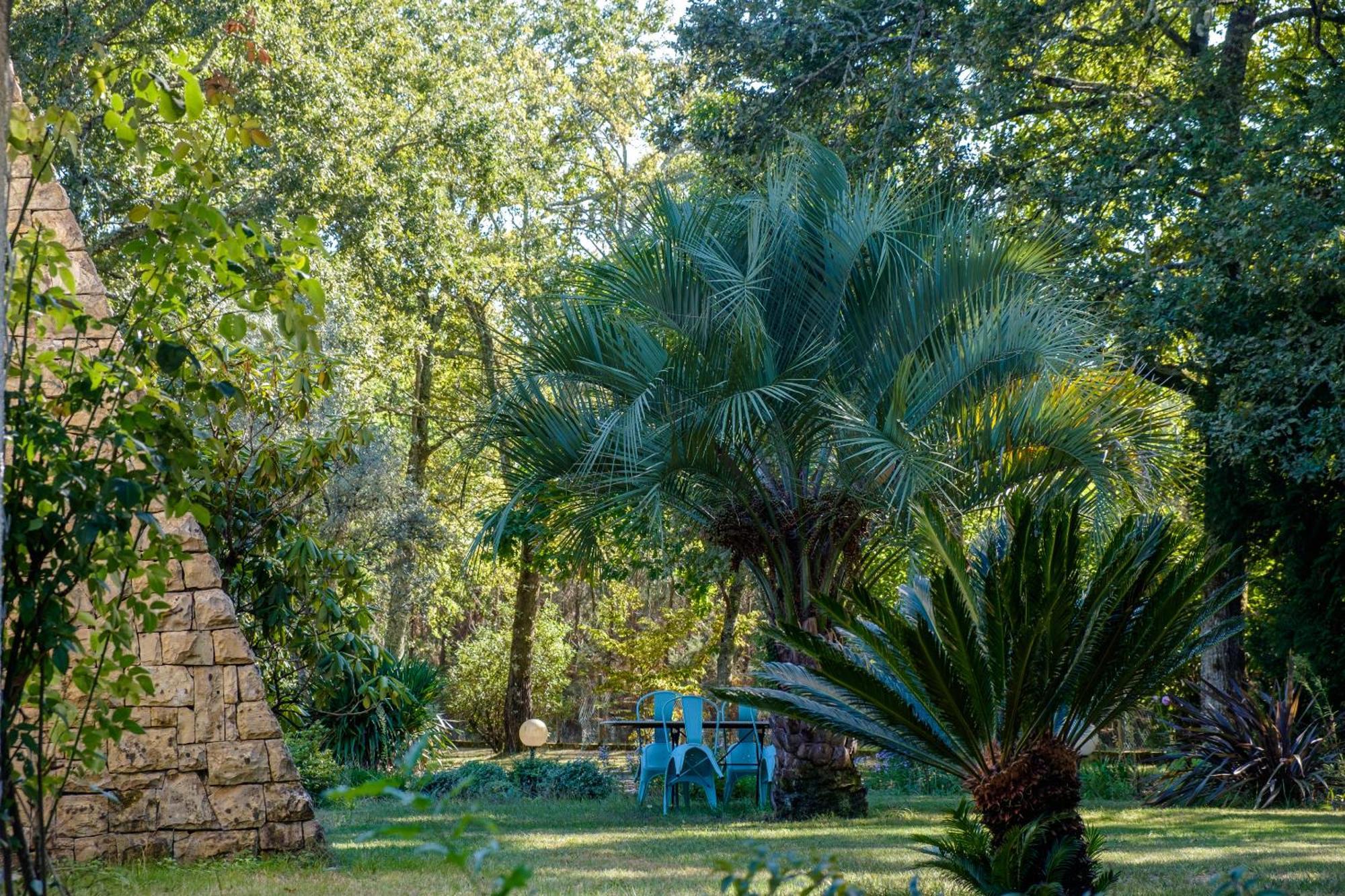 Parc De L'Aiguade Bed & Breakfast Saint-Paul-lès-Dax Екстериор снимка
