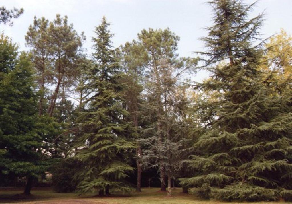 Parc De L'Aiguade Bed & Breakfast Saint-Paul-lès-Dax Екстериор снимка
